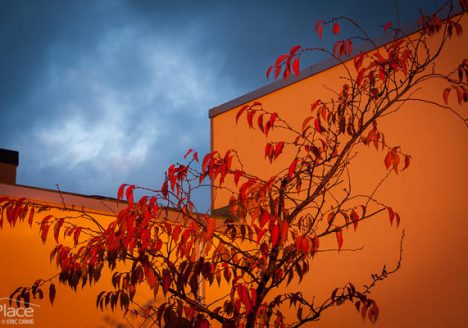 Place Photography Westfield Suffolk